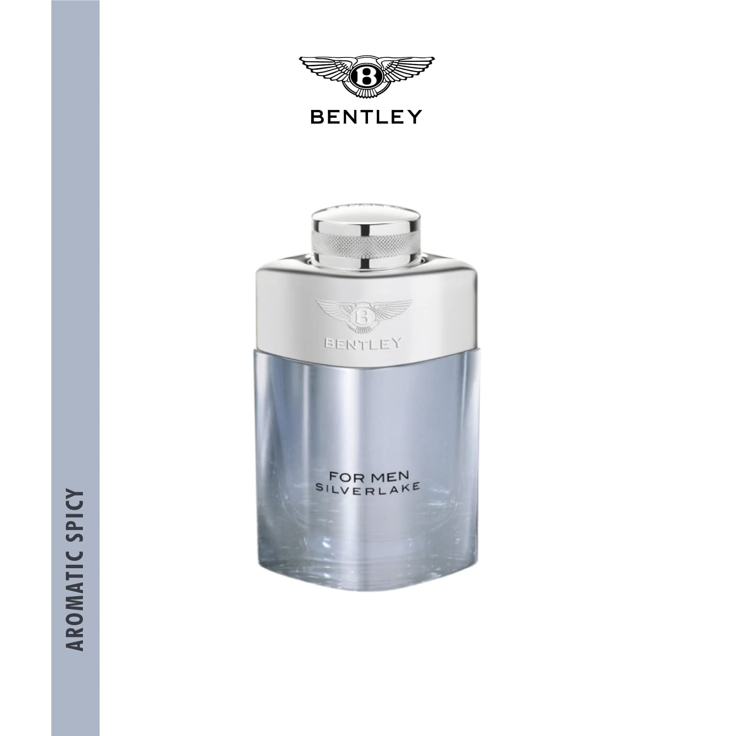 Silverlake for Men Eau De Parfum Spray, 3.4 Ounce