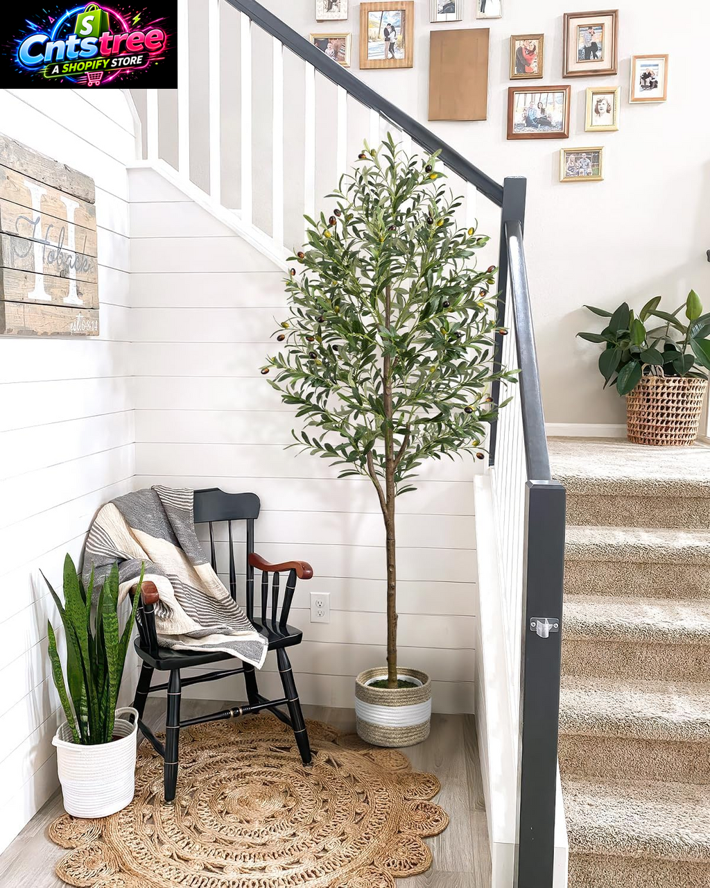6FT Artificial Olive Tree - Indoor Tall Faux Olive Trees with Planter&Basket, Large Fake Olive Silk Tree Realistic Olive Plants with Branches and Fruits for Home Decor Office Living Room