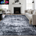 5X7 Area Rug Living Room Rug: Washable Modern Abstract Soft Thin Rug Indoor Floor No Slip Stain Resistant Carpet for Bedroom Dining Room Farmhouse Nursery Home Office - Black