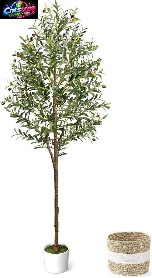 6FT Artificial Olive Tree - Indoor Tall Faux Olive Trees with Planter&Basket, Large Fake Olive Silk Tree Realistic Olive Plants with Branches and Fruits for Home Decor Office Living Room